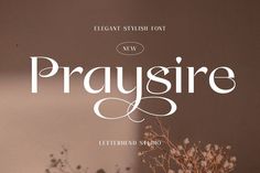 a book cover with the words praysre written in cursive writing