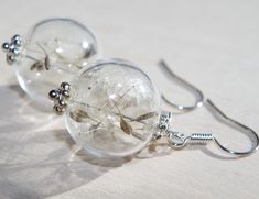 Dandelion earrings Glass globe earrings Dandelion dangle earrings Romantic Jewelry Hypoallergenic dandelion seed earrings Terrarium Jewelry The glass orbs are filled with real dandelions and being closed by silver colored bead caps, hanging from classical ear wires. Nickel-free and anti-allergenic. Delicately beautiful - with these earrings all your wishes may shall come true! Glass orb in 1 cm Our jewelry is not waterproof, so we highly recommend avoid direct contact with water (like swimming o Globe Earrings, Terrarium Jewelry, Romantic Jewelry, Dandelion Seed, Romantic Jewellery, Bead Caps, Glass Globe, Terrarium, Jewelry Earrings Dangle