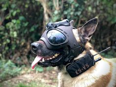 a dog wearing a helmet and goggles with its tongue out