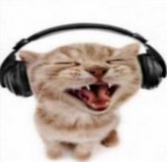 a cat with its mouth open wearing headphones