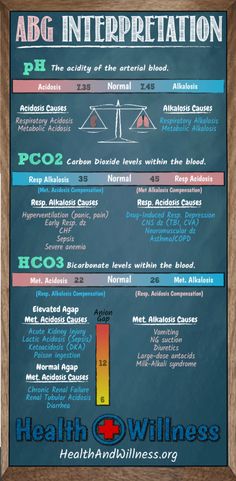 the different types of surfboards are shown in this graphic style, including one that is very