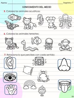 the spanish language worksheet for children to learn how to draw animals and other things