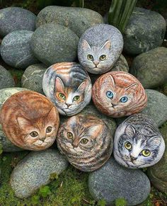 five cats painted on rocks sitting in the grass next to some plants and stones with blue eyes