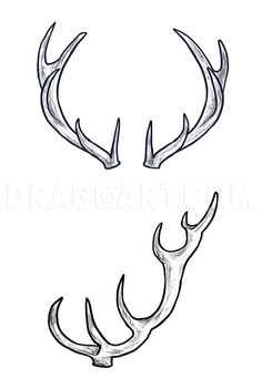 two antlers are shown in black and white, one is drawn with pencils