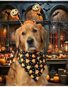 a golden retriever dog wearing a halloween bandana