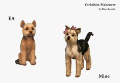 two dogs are standing next to each other on a white background with the words yorkie makeover