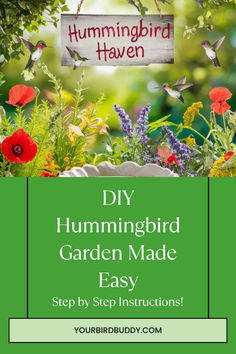 the hummingbird garden made easy step by step instructions