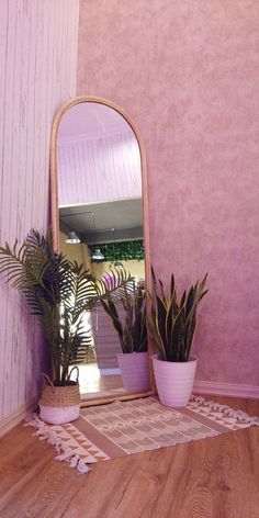 there is a mirror and some plants on the floor in front of this pink wall