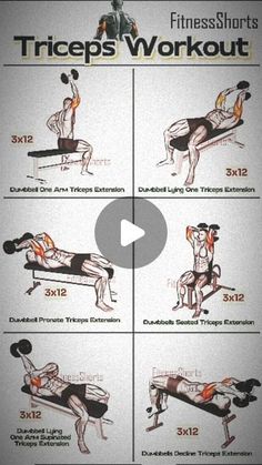 an exercise poster shows how to use the inclines and triceps workout exercises