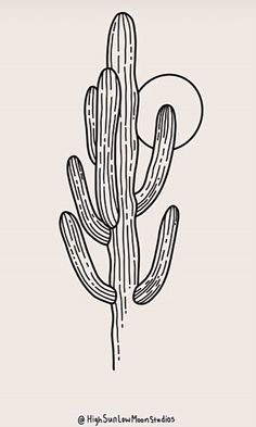 a black and white drawing of a cactus