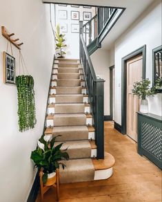 there is a stair case with plants on it