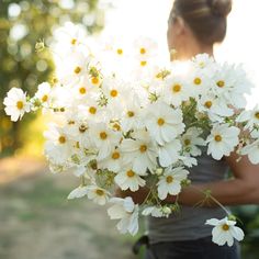 a woman holding a bouquet of daisies in her hands