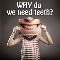 Why do we need teeth?  Help your kids discover the answer! Attractive Smile, Winning Smile, Dental Facts, Oral Surgeon, Dental Marketing, Emergency Dentist, Pediatric Dentist, Family Dental, Oral Care Routine