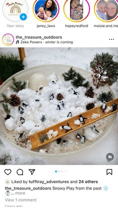 the snow is piled up in a bowl with pine cones and other things on it