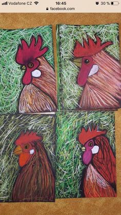 four pictures of roosters in the grass