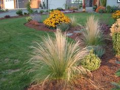 the front yard is clean and ready to be used as a landscaping area for this home