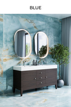 a bathroom vanity with two round mirrors above it and a potted plant next to it