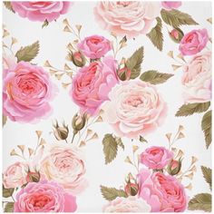 pink roses on white background with green leaves