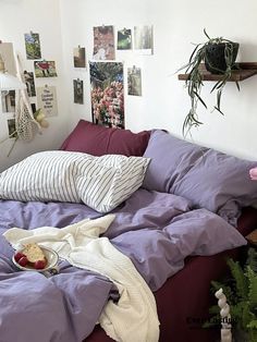 an unmade bed with purple sheets and pillows in a white room filled with plants