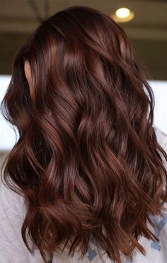 10. Chestnut Waves with Auburn Lowlights Enhance your natural curls with subtle auburn lowlights for added dimension and depth, resulting in a Dark Chestnut Hair Color, Dark Chestnut Hair, Highlights Brunette, Dark Auburn Hair, Chestnut Brown Hair, Rambut Brunette, Chestnut Hair, Hair Length Chart, Chestnut Hair Color