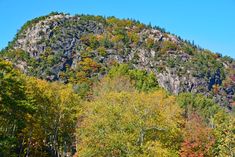 a mountain with lots of trees in the foreground and fall foliage on the other side