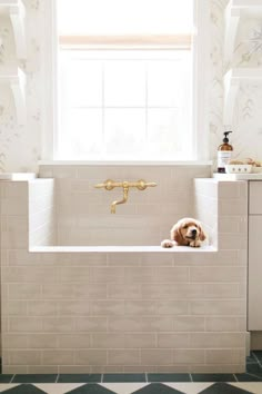 a dog is sitting in the bathtub with its head sticking out from it's side