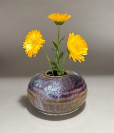 two yellow flowers in a vase on a table