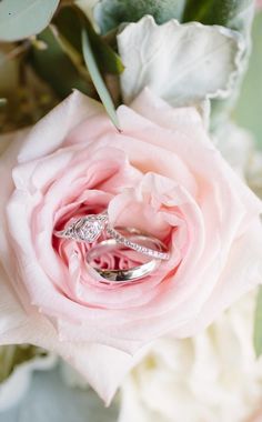 two wedding rings sitting on top of a pink rose