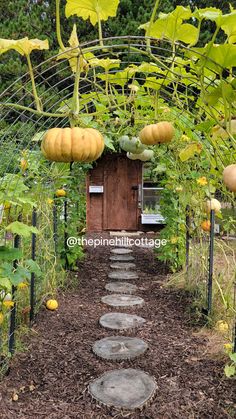 a garden with lots of plants and stepping stones in the ground next to a wooden door