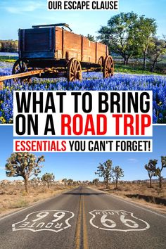 a road with the words, what to bring on a road trip essentials you can't forget