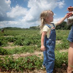 Country Kids, Baby Life, Future Life