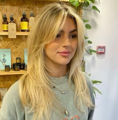 Blonde And Curtain Bangs, Slight Curtain Bangs Straight Hair, European Summer Haircut, Almost Bangs Haircut, Short Face Frame Layers, Fringe With Long Hair Straight, Face Frame For Round Face, Haircuts With Widows Peak Women, Wispy Front Pieces