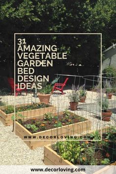 a garden with lots of plants in it and the words amazing vegetable garden bed design ideas