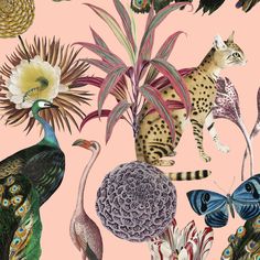 a pink background with different types of birds and flowers on it, including a cat