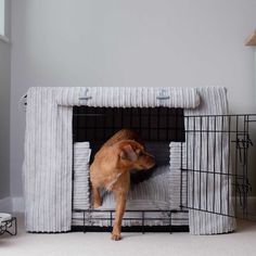 a dog is standing in its kennel with the door open and it's head sticking out