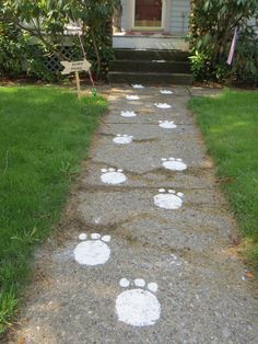 the sidewalk is decorated with white paw prints