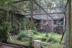 an outdoor area with trees and plants in it