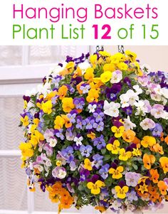 the hanging basket is filled with colorful pansies and has text overlay that reads hanging baskets plant list 12 of 15