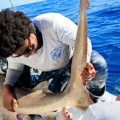 a man holding a shark in the water with other people around him looking at it