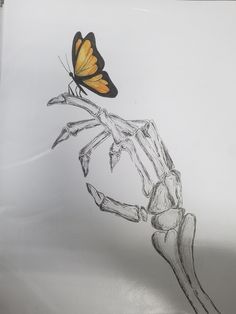 a drawing of a butterfly sitting on top of a skeleton hand with its wings spread