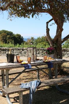 a picnic table with food and drinks on it in the shade of a large tree