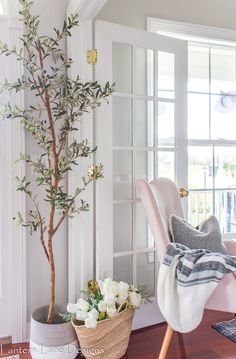 a living room filled with furniture and a potted tree in front of a window