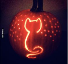 a carved pumpkin with a cat on it