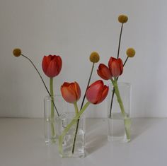 three glass vases with flowers in them on a white countertop next to each other