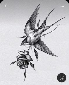 a drawing of a bird flying over a rose