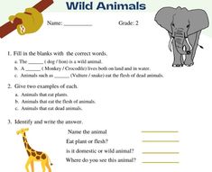 an animal worksheet with the words wild animals