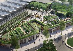 an artist's rendering of a green roof garden in the middle of a city