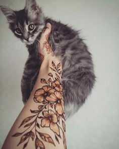 a cat sitting on top of a person's hand with flowers painted on it