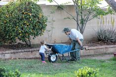 a man pushing a blue wheelbarrow with a child in it