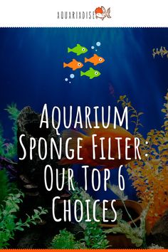 an aquarium filled with fish and plants next to the words aquarium sponge filter our top 6 choices